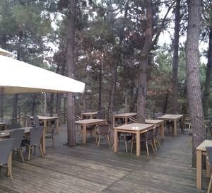 orman cafe restaurant ihlamurkuyu merkez istanbul zomato